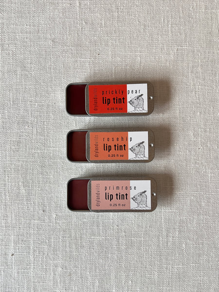 Three aluminum lip tint containers, opened to show the lip tint inside. From top to bottom: red prickly pear lip tint, salmon rosehip lip tint, and pink primrose lip tint.