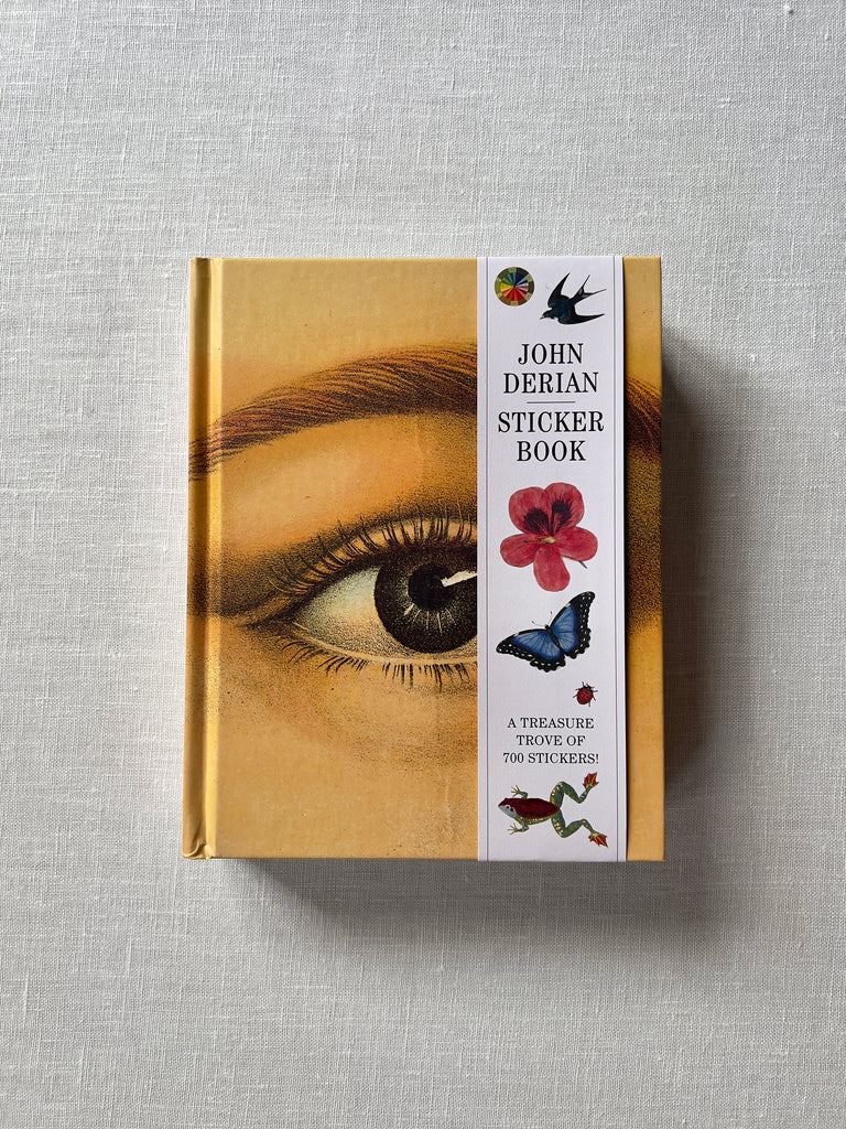 Cover of the "John Derian Sticker Book" showing a drawn eye and eyebrow, with a white band label to the right with black text and a blue butterfly, black sparrow, ladybug, red poppy, and frog.