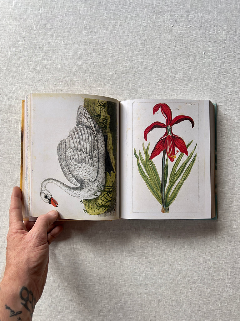 "John Derian Sticker Book" opened to a page with two large stickers, one of a goose and the other of a red flower with pointy petals.
