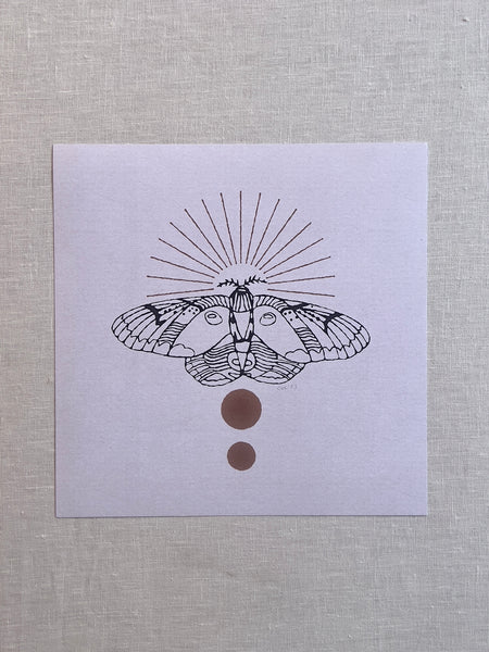 Art print of a moth with two circles under it. the moth has designs on its wings resembling a raccoon 