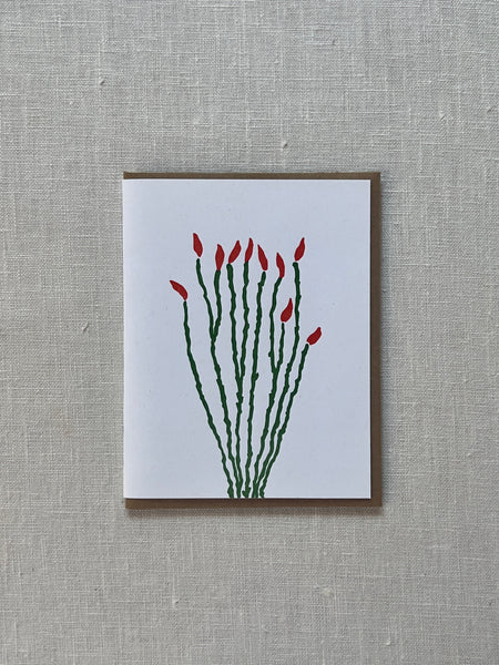 White card with art of an ocotillo plant with red flower buds