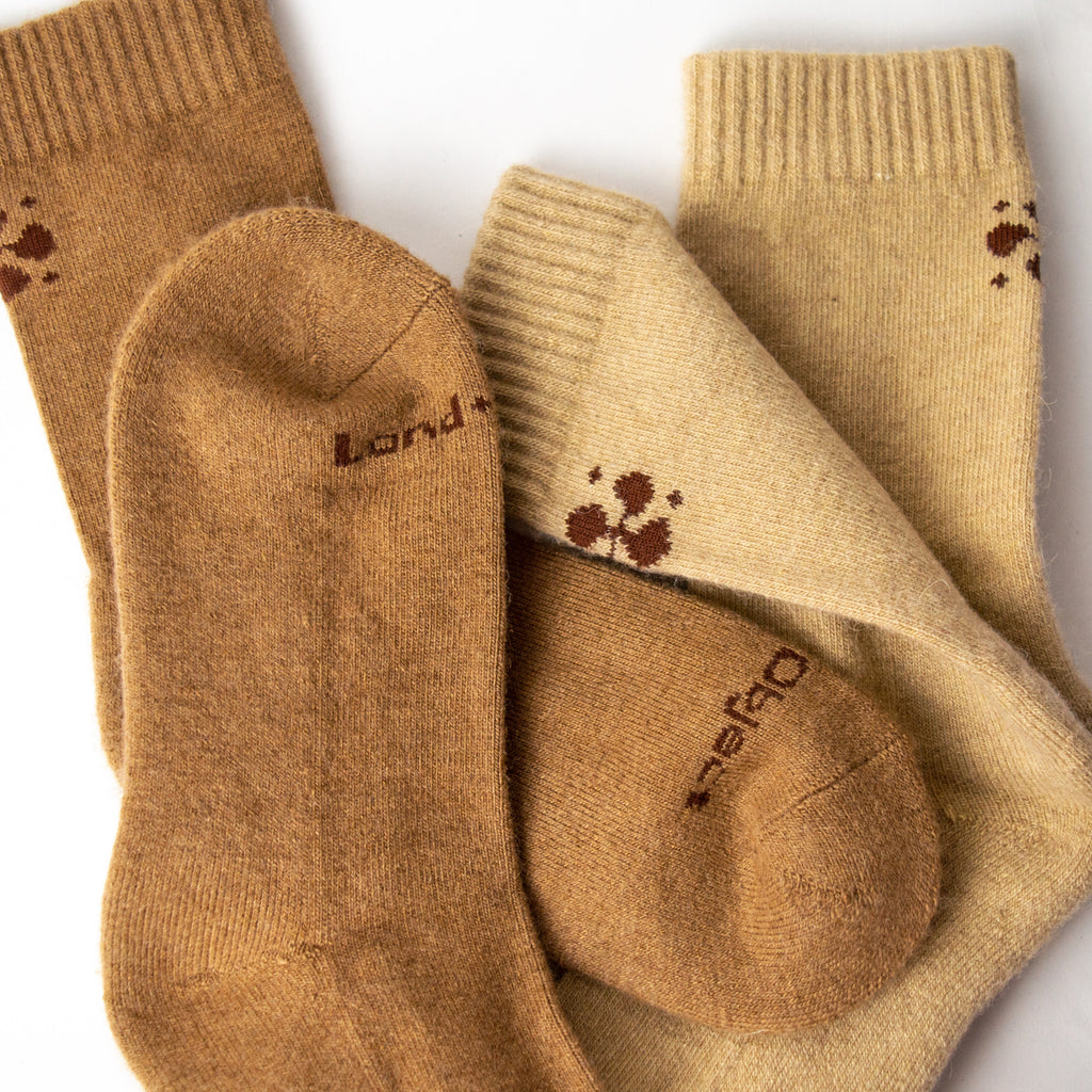Two pairs of tan socks, one pair darker than the other both laid out organically on a white backdrop.