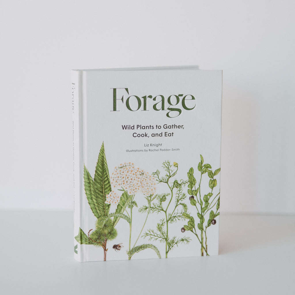 A book about wild plants to gather, cook and eat. It is called Forage. It has drawings of wild plants, flowers and herbs.